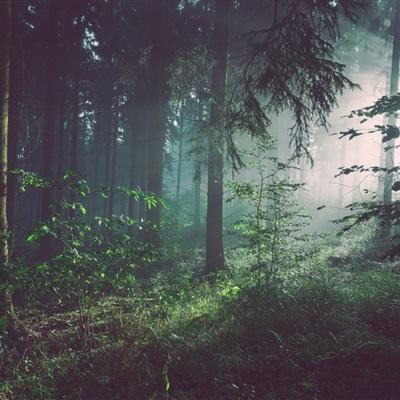 6113永利贵宾会体育娱乐APP/手机APP下载截图